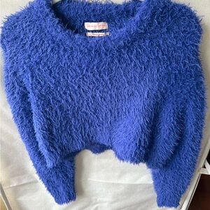 Urban Outfitters Royal Blue Fuzzy Crewneck Sweater